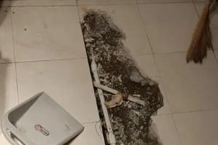 四方台卫生间漏水检测电话
